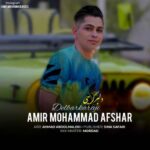 دانلود آهنگ امیرمحمد افشار دلبر کرجی